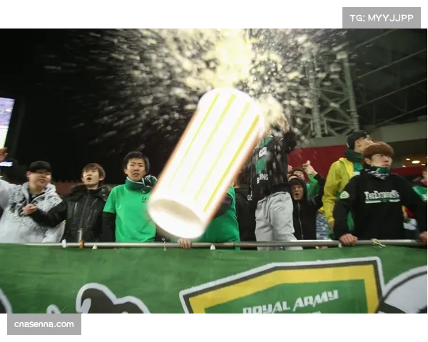 球场暴力事件频发,法国足协主席呼吁加强安保与球迷管理 球场暴力事件频发,法国足协主席呼吁加强安保与球迷管理